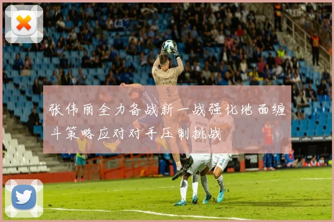 张伟丽全力备战新一战强化地面缠斗策略应对对手压制挑战