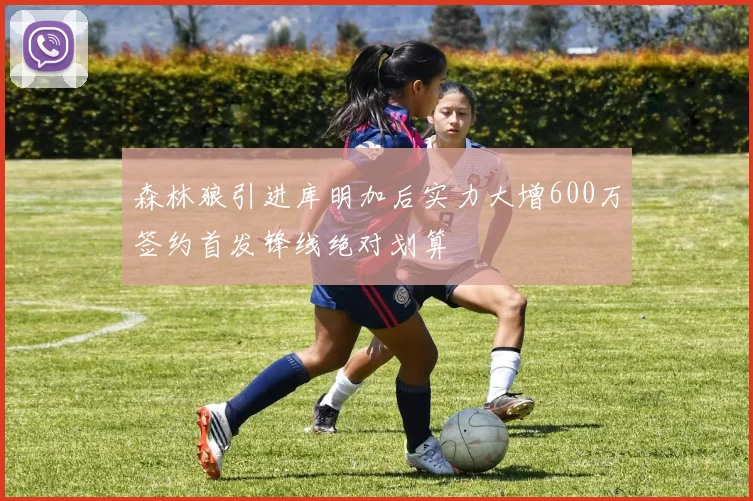 森林狼引进库明加后实力大增600万签约首发锋线绝对划算