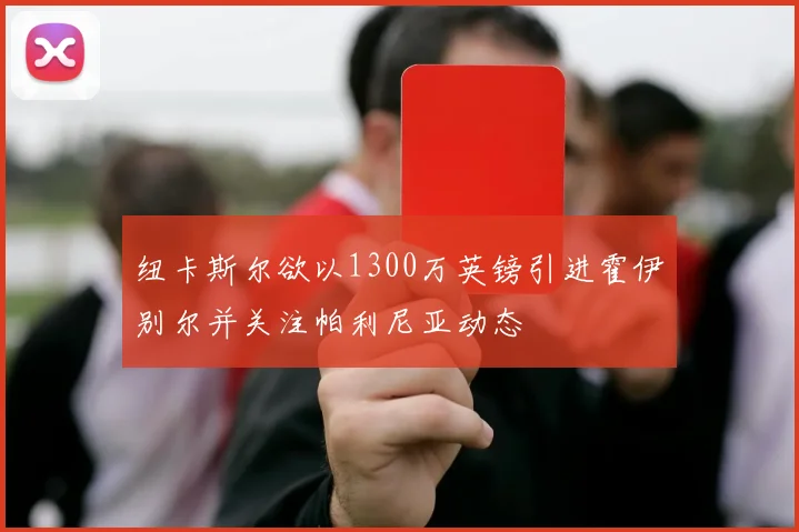 纽卡斯尔欲以1300万英镑引进霍伊别尔并关注帕利尼亚动态
