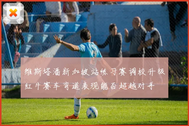 维斯塔潘新加坡站练习赛调校升级红牛赛车弯道表现能否超越对手