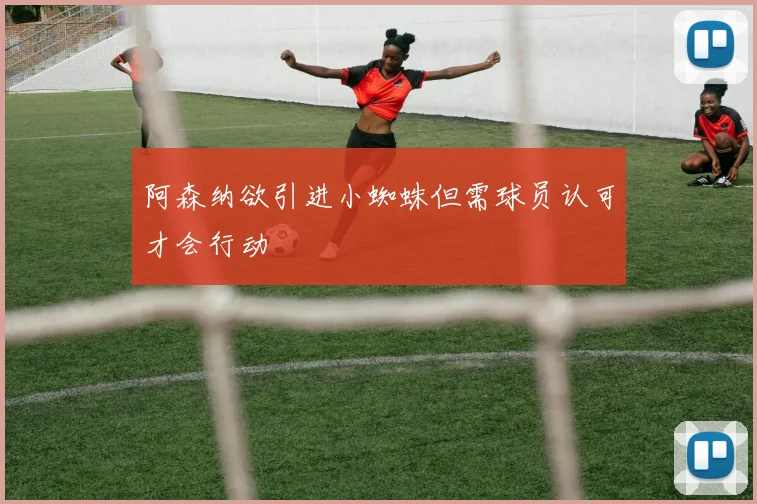 阿森纳欲引进小蜘蛛但需球员认可才会行动