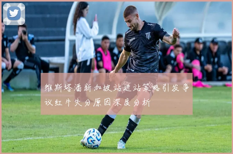 维斯塔潘新加坡站进站策略引发争议红牛失分原因深度分析