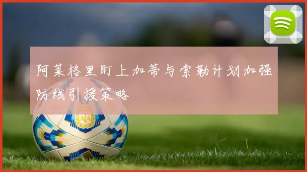 阿莱格里盯上加蒂与索勒计划加强防线引援策略